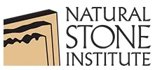 NSI_logo